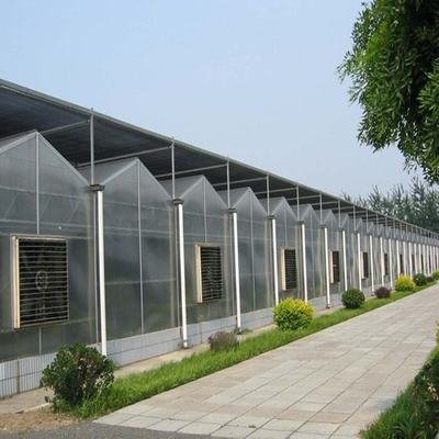 1644817383239331.jpg 温室建设